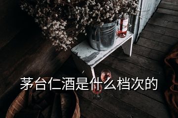 茅臺(tái)仁酒是什么檔次的