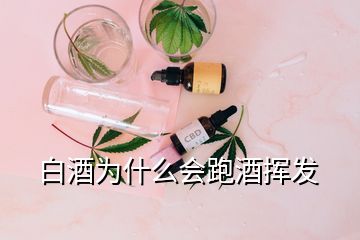 白酒為什么會跑酒揮發(fā)