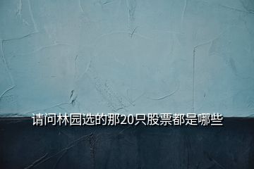 請(qǐng)問(wèn)林園選的那20只股票都是哪些