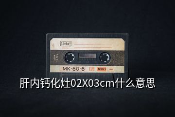 肝內鈣化灶02X03cm什么意思