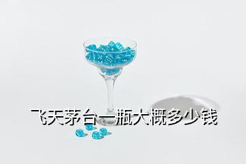 飛天茅臺一瓶大概多少錢