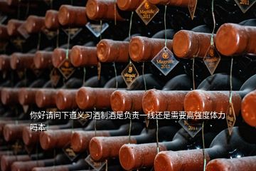 你好請問下遵義習(xí)酒制酒是負(fù)責(zé)一線還是需要高強度體力嗎本