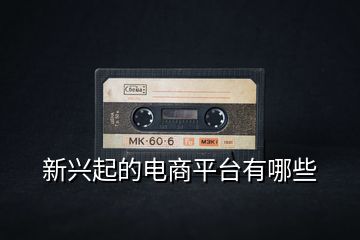 新興起的電商平臺(tái)有哪些