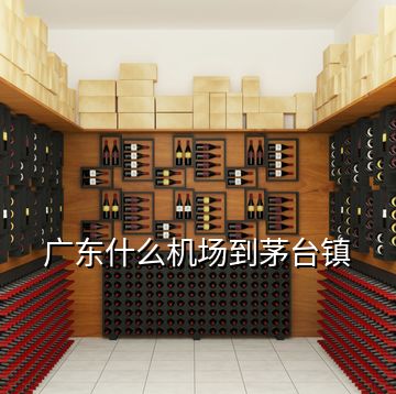 廣東什么機(jī)場(chǎng)到茅臺(tái)鎮(zhèn)