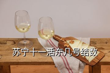 蘇寧十一活東幾號結(jié)數(shù)