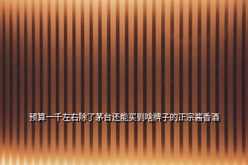 預算一千左右除了茅臺還能買到啥牌子的正宗醬香酒