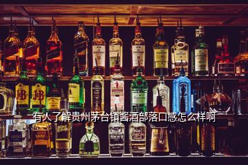 有人了解貴州茅臺(tái)鎮(zhèn)醬酒部落口感怎么樣啊