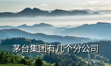 茅臺集團(tuán)有幾個(gè)分公司