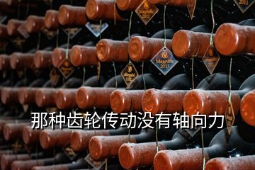 那種齒輪傳動(dòng)沒有軸向力