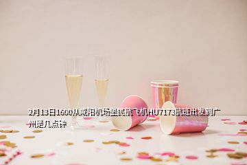 2月13日1600從咸陽機(jī)場坐民航飛機(jī)HU7173航班出發(fā)到廣州是幾點鐘