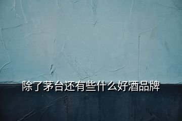 除了茅臺還有些什么好酒品牌