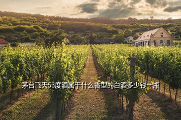 茅臺(tái)飛天53度酒屬于什么香型的白酒多少錢(qián)一瓶