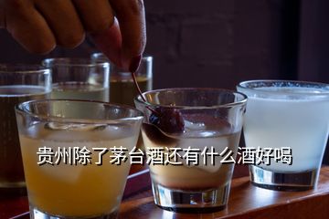 貴州除了茅臺(tái)酒還有什么酒好喝