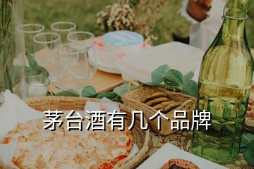 茅臺酒有幾個(gè)品牌