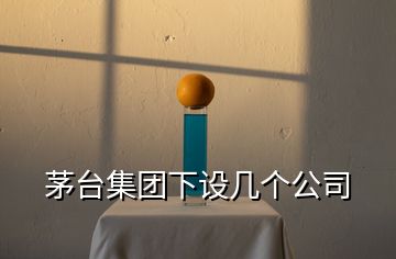 茅臺(tái)集團(tuán)下設(shè)幾個(gè)公司
