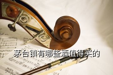 茅臺鎮(zhèn)有哪些酒值得買的
