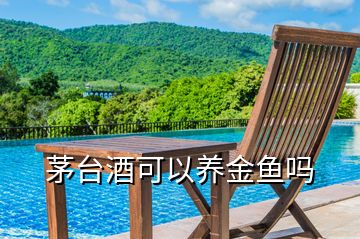 茅臺酒可以養(yǎng)金魚嗎