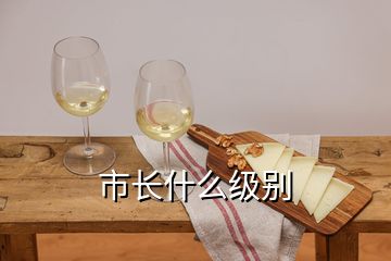 市長(zhǎng)什么級(jí)別