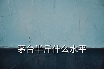 茅臺(tái)半斤什么水平