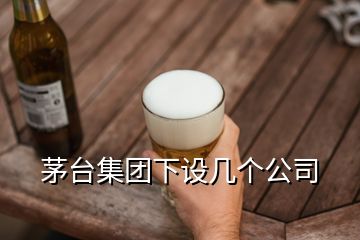 茅臺(tái)集團(tuán)下設(shè)幾個(gè)公司