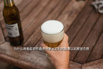 為什么用看股軟件看貴州茅臺(tái)萬科的股票以前都是負(fù)數(shù)