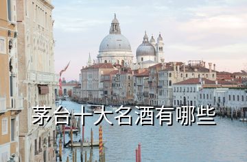 茅臺(tái)十大名酒有哪些