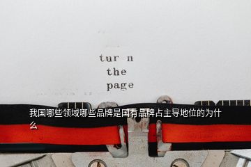 我國(guó)哪些領(lǐng)域哪些品牌是國(guó)有品牌占主導(dǎo)地位的為什么