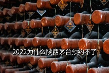 2022為什么陜西茅臺預(yù)約不了