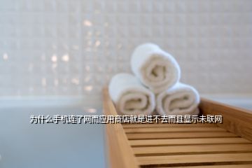 為什么手機連了網(wǎng)而應(yīng)用商店就是進不去而且顯示未聯(lián)網(wǎng)