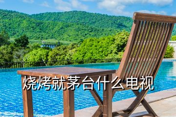 燒烤就茅臺(tái)什么電視