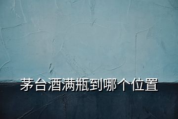 茅臺酒滿瓶到哪個位置
