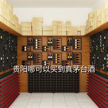 貴陽哪可以買到真茅臺(tái)酒