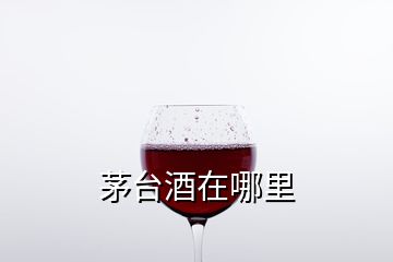 茅臺(tái)酒在哪里