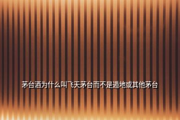 茅臺酒為什么叫飛天茅臺而不是遁地或其他茅臺