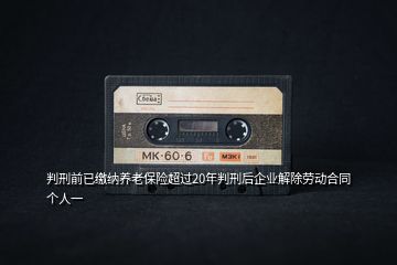 判刑前已繳納養(yǎng)老保險(xiǎn)超過20年判刑后企業(yè)解除勞動(dòng)合同個(gè)人一