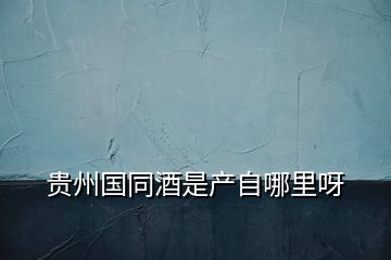貴州國(guó)同酒是產(chǎn)自哪里呀