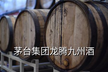 茅臺集團(tuán)龍騰九州酒