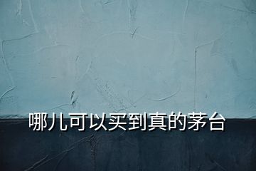 哪兒可以買到真的茅臺