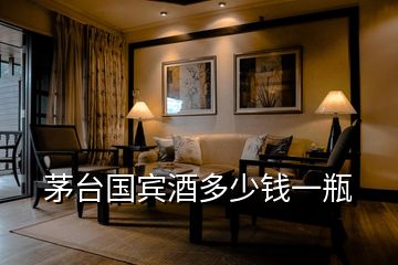 茅臺(tái)國(guó)賓酒多少錢(qián)一瓶
