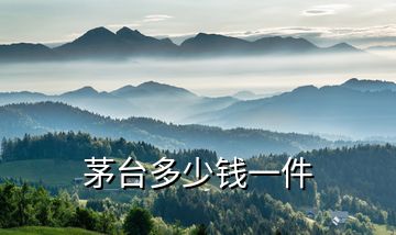茅臺多少錢一件