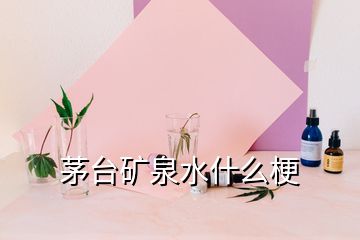 茅臺(tái)礦泉水什么梗