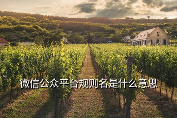 微信公眾平臺(tái)規(guī)則名是什么意思