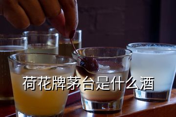 荷花牌茅臺是什么酒