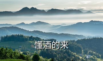 懂酒的來(lái)