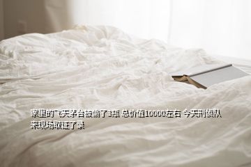家里的飛天茅臺被偷了3瓶 總價值10000左右 今天刑偵隊來現(xiàn)場取證了錄