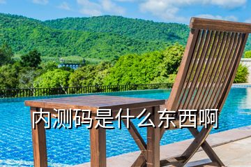 內測碼是什么東西啊