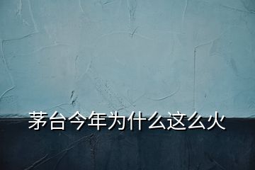 茅臺(tái)今年為什么這么火