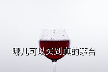 哪兒可以買到真的茅臺(tái)