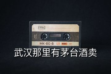 武漢那里有茅臺酒賣