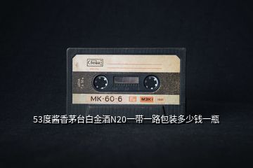 53度醬香茅臺(tái)白金酒N20一帶一路包裝多少錢(qián)一瓶